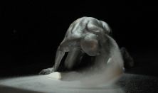 9. BODY.RADICAL Nemzetközi Előadóművészeti Biennálé