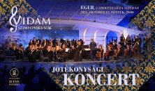 Vidám Szimfonikusok – Jótékonysági koncert