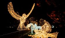 Story of Lights Zalaegerszeg - Szezonbérlet