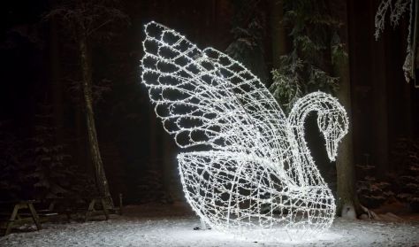 Story of Lights Zalaegerszeg - Szezonbérlet Story of Lights Zalaegerszeg - Szezonbérlet