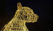 Fények Elvarázsolt Erdeje Pécs - Napijegy