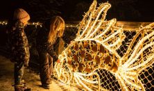 Fények Elvarázsolt Erdeje Pécs - Napijegy