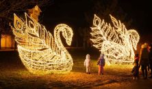 Fények Elvarázsolt Erdeje Pécs - Napijegy