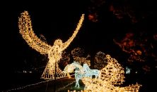 Fények Elvarázsolt Erdeje Pécs - Napijegy