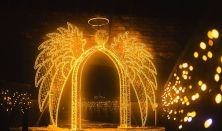 Fények Elvarázsolt Erdeje Pécs - Napijegy