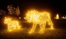 NEFAG FÉNYPARK SZOLNOK - Napijegy