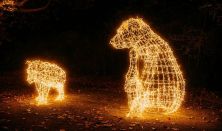 NEFAG FÉNYPARK SZOLNOK - Napijegy