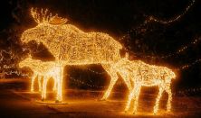 NEFAG FÉNYPARK SZOLNOK - Napijegy