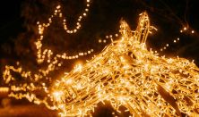 NEFAG FÉNYPARK SZOLNOK - Napijegy