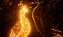 NEFAG FÉNYPARK SZOLNOK - Napijegy