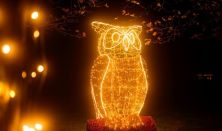 NEFAG FÉNYPARK SZOLNOK - Napijegy