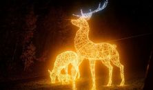 NEFAG FÉNYPARK SZOLNOK - Napijegy