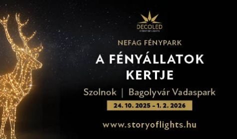 NEFAG FÉNYPARK SZOLNOK - Napijegy
