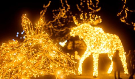 NEFAG FÉNYPARK SZOLNOK - Napijegy