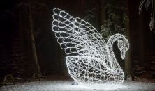 Story of Lights Zalaegerszeg - Napijegy