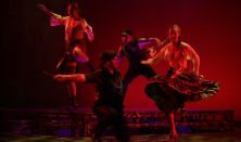 A széttáncolt cipellők