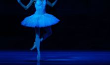 Gyermekszínház - A hattyúk tava