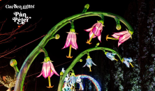 Garden Of Lights - 16:00-17:00