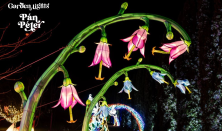 Garden Of Lights - 17:00-18:00