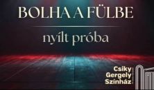 NYÍLT PRÓBA: BOLHA A FÜLBE