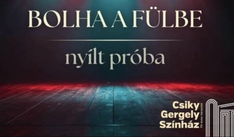 NYÍLT PRÓBA: BOLHA A FÜLBE