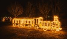 Fények Elvarázsolt Erdeje Pécs- Szabadon választott napra szóló belépőjegy