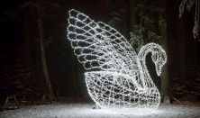 Fények Elvarázsolt Erdeje Pécs- Szabadon választott napra szóló belépőjegy