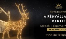 NEFAG FÉNYPARK SZOLNOK - Szabadon választott napra szóló belépőjegy