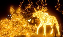 NEFAG FÉNYPARK SZOLNOK - Szabadon választott napra szóló belépőjegy