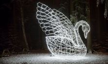 Story of Lights Zalaegerszeg - Szabadon választott napra szóló belépőjegy