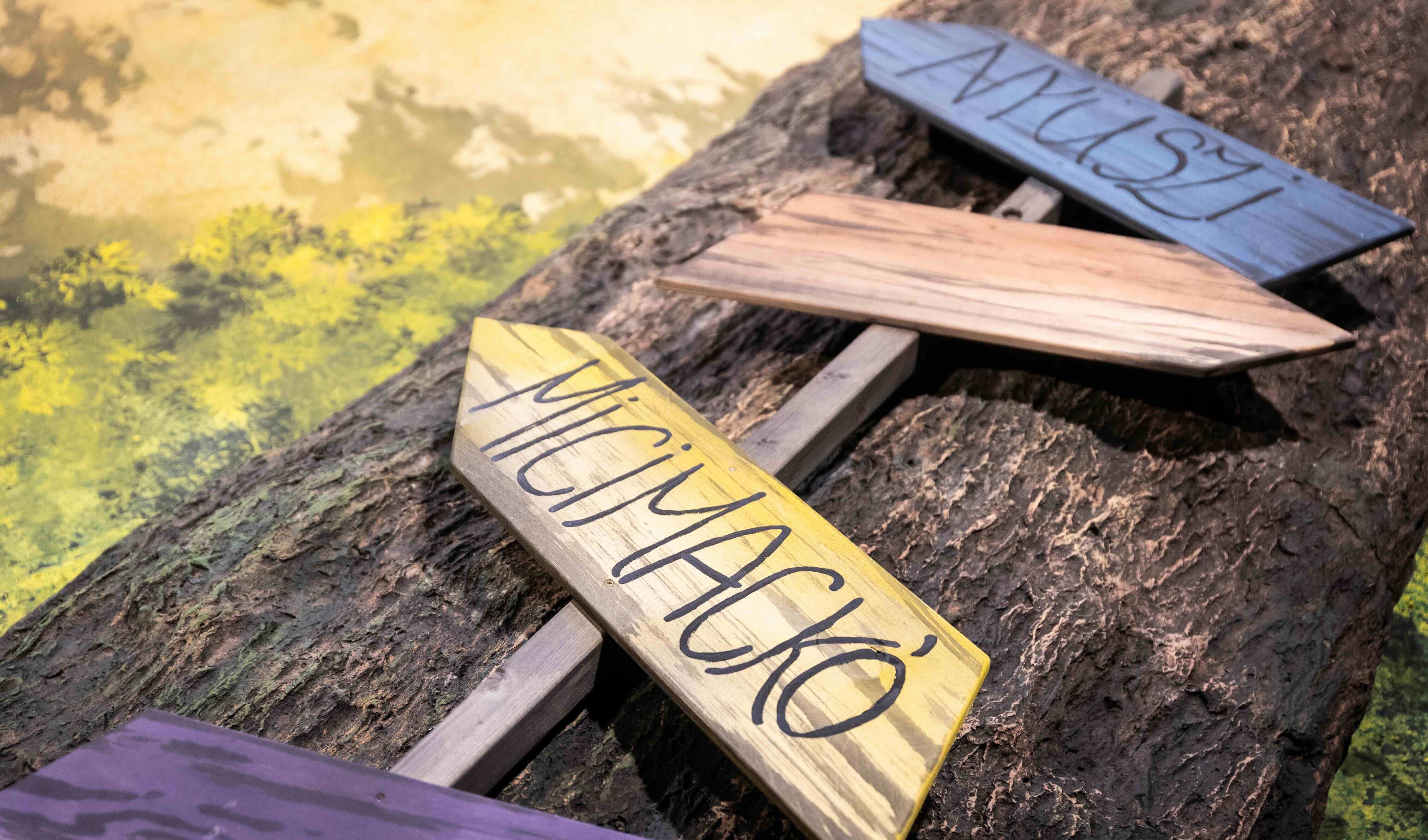 Micimackó, avagy mi lesz a Százholdas Pagonnyal?