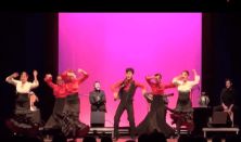 Flamenco Mozdulatok Testközelből - Workshop