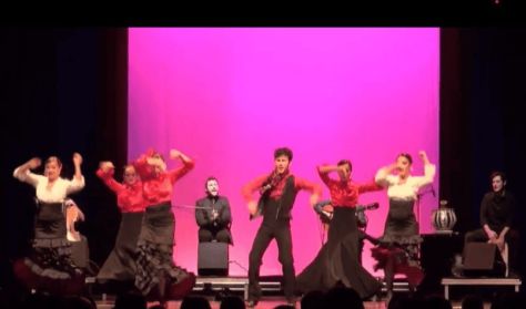 Flamenco Mozdulatok Testközelből - Workshop