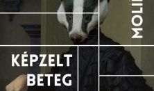 Képzelt beteg - a Szegedi Pinceszínház előadása