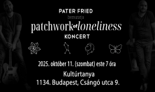 Pater Fried - Patchwork of Loneliness jótékonysági koncert a látássérültek közösségi teréért