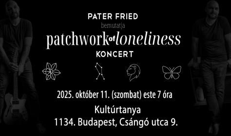 Pater Fried - Patchwork of Loneliness jótékonysági koncert a látássérültek közösségi teréért
