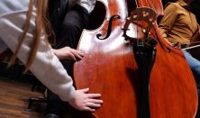 Érezd a ritmust - A Beethoven-projekt Fesztivál rendezvénye - Danubia Zenekar