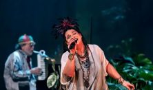 Sena DagaDub – vendég: Presser Gábor