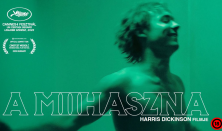 A mihaszna (Törőcsik)