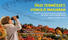 Őszi természet, vonuló madarak