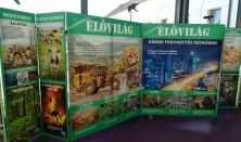 Játékos tudomány - Kezedben a jövő interaktív kiállítás