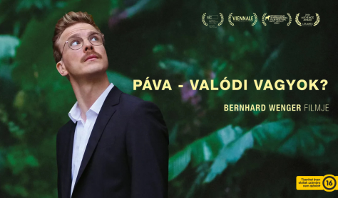 Páva - Valódi vagyok? (Fábri) Páva - Valódi vagyok? (Fábri)