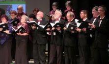 CSILLAGFÉNYES ÉJJEL - Gödöllői Városi Vegyeskar