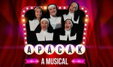 Apácák musical