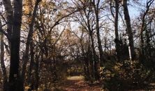 10.000 lépés a buckákban