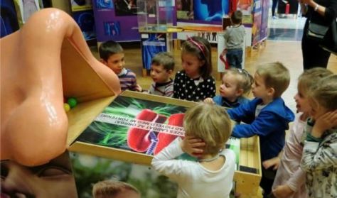 Játékos tudomány: Testünk a csoda - Interaktív kiállítás Játékos tudomány: Testünk a csoda - Interaktív kiállítás