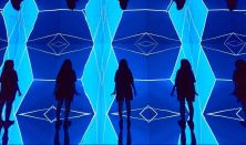 Light Art Museum: More Than Human