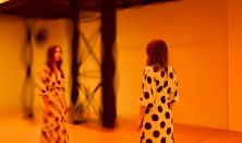 Light Art Museum: More Than Human