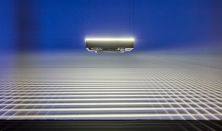 Light Art Museum: More Than Human