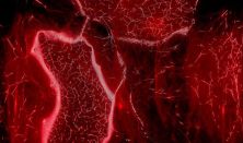 Light Art Museum: More Than Human